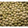 36767 hrach sety affyla na microgreens 100 g