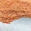 37220 rericha seta na microgreens 50 g