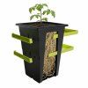 replant pot rajce