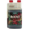 2051 1 canna cannaboost