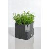 19647 32 cobble 14 anthracite 20