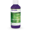 2089 2 alga blooom 100ml