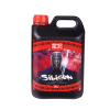 21537 1 silicon 5l