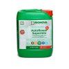 5757 4 bionova autoflower supermix