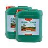 2045 1 canna aqua flores ab