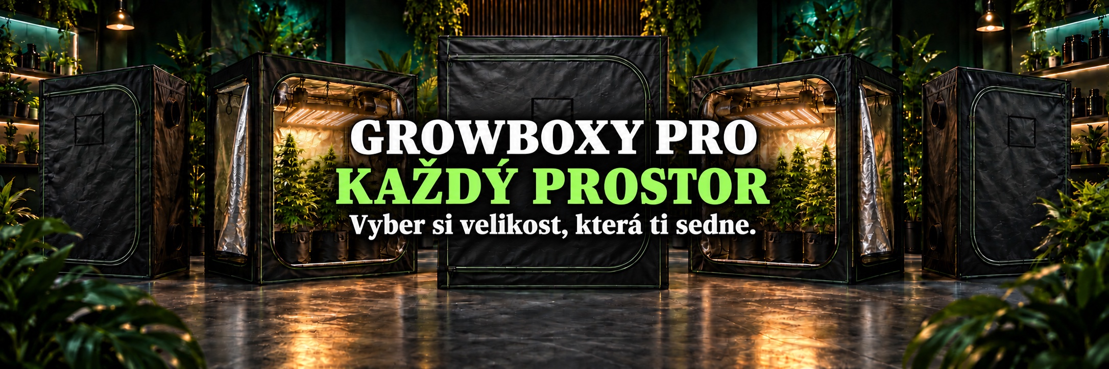 growshop-boxy