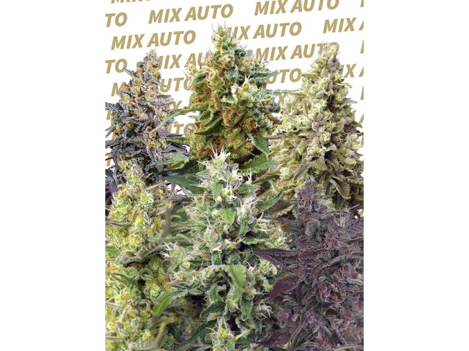 sweet mix auto