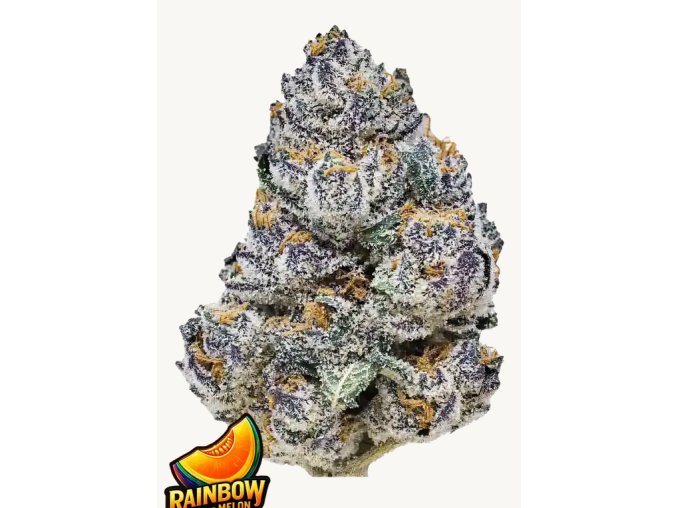 Screenshot 2025 12 08 at 12 03 42 Buy Rainbow Melon™ Cannabis Seeds 42 Fast Buds