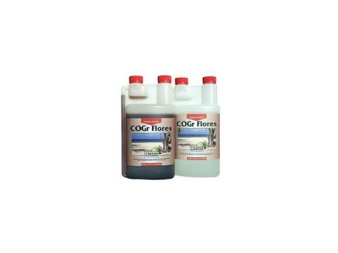 COGR Flores 2x1l