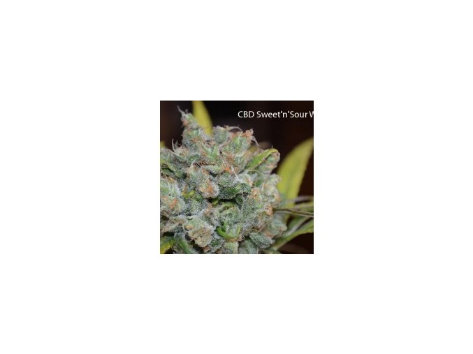 CBD édes és savanyú özvegy 5db Reguler