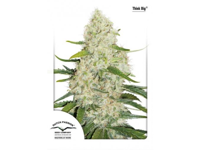 Gondolkodj nagyban 3 db