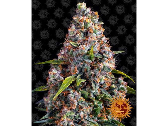 strawberry cheesecake auto