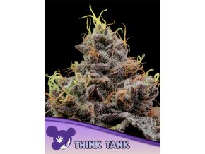 Think Tank 600x800 1