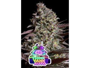 Think Tank Auto 960x1359 1