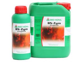 BN-Zym 0,25 ml