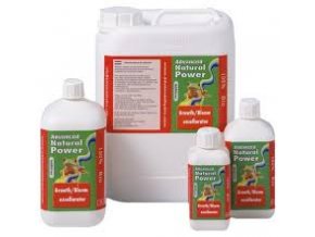 Grow/Bloom Excellerator 1l