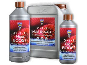 Boost 1l