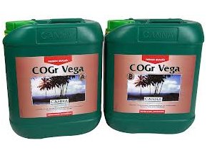 COGR Vega 2x5l