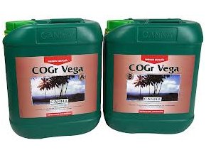 COGR Vega 2x5l