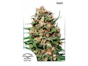 Skunk#1 - 10 db Reguler