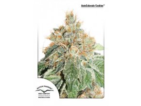 AutoColorado Cookies 3 ks