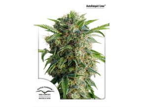 AutoDaiquiri Lime 3 db