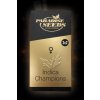 Indica Champions Pack Paradise Seeds