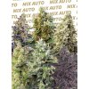 sweet mix auto