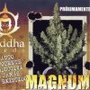 Buddha Magnum 50 ks