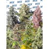 sweet mix photoperiod dependent