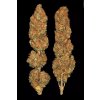 3 californian gold