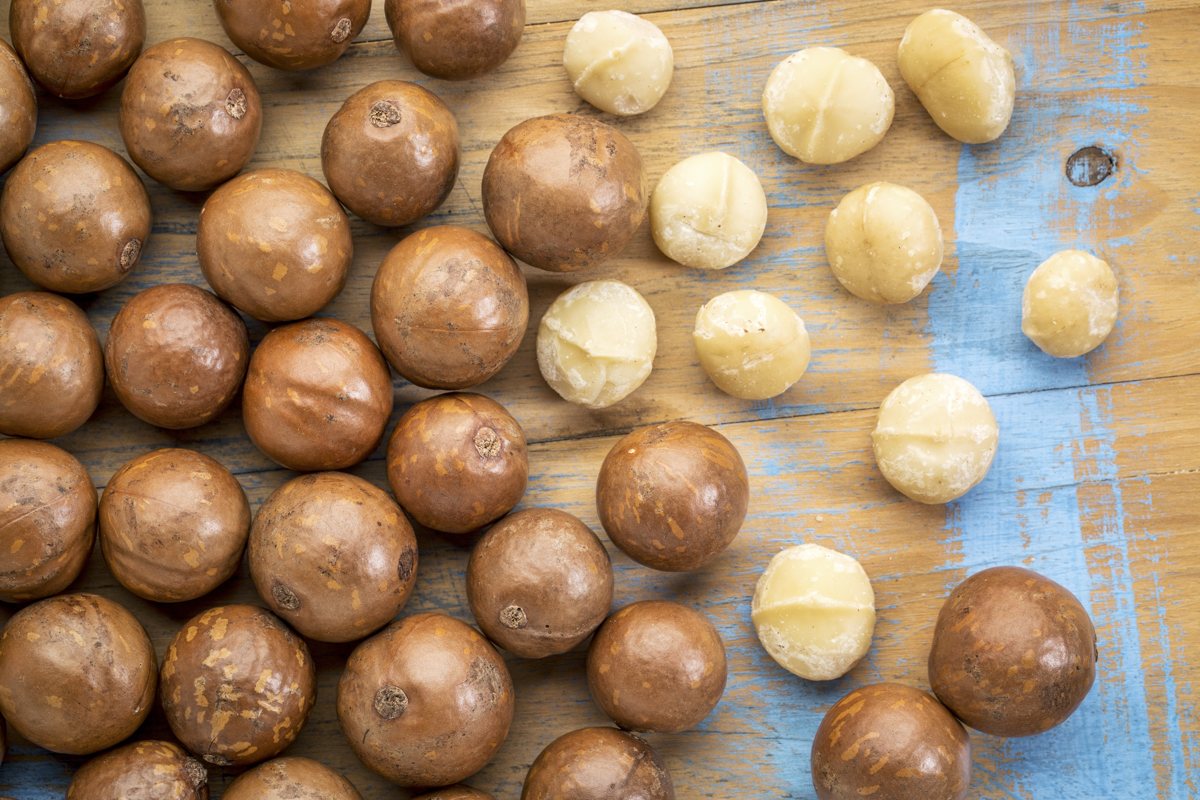 Makadamové orechy z našej prevádzky v Afrike