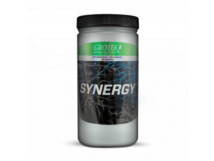 6209 grotek synergy 140 g pudni doplnek