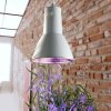 7094 bio green plant lamp 14w komplet osvetleni