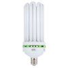 6572 envirogro cfl 200w warm white lamp 2700k