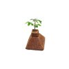 7169 2 hga garden eazy pyramid pestebni medium 4ks