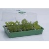 1319 1 propagator 43 pevny mini sklenik 38 x 24 x 18 maly