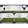 4382 4 probox propagator xl 120x40x200cm