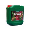 CANNA BOOST Accelerator - květovýstimulátor (Objem 10 L)