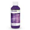 PLAGRON Sugar Royal - květový stimulátor