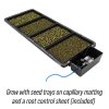 Tray2Grow Seed Trays Herbs NO SHADOW Caption WEB