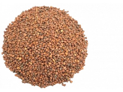 reďkovka removebg preview