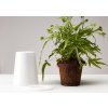 Boskke Sky Planter Recycled (2019) 1
