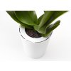 Boskke Sky Planter Recycled (2019) 7