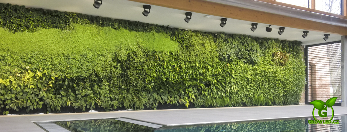 Návrhy a realizace LED osvětlení živých stěn