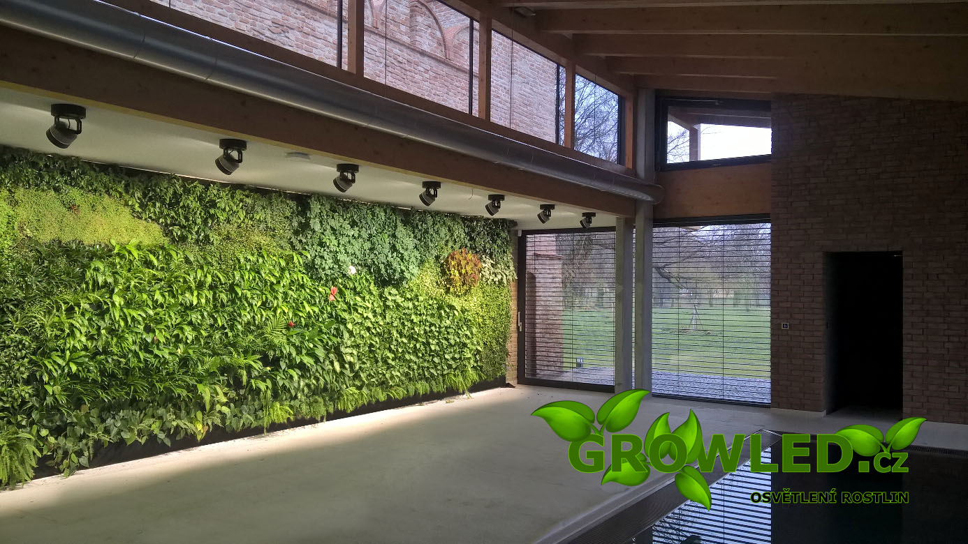 Realizace osvětlení živé stěny GrowLED