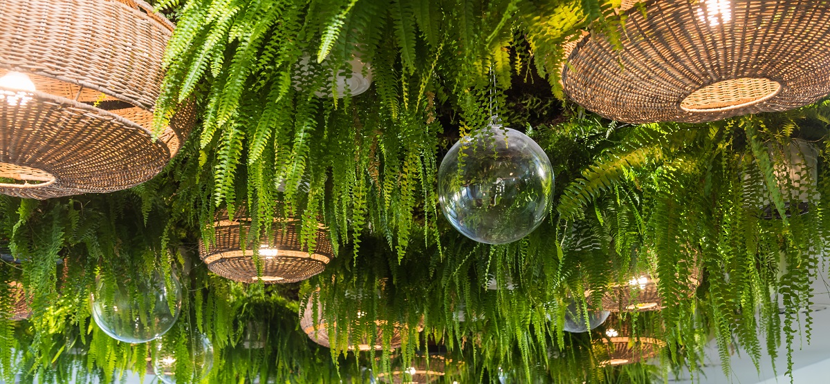 navrh-realizace-zivy-zeleny-strop-delta-servis-growled-cz