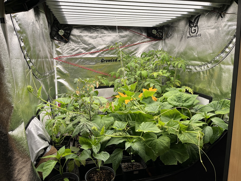 Bílé světlo s vysokým indexem podání barev u Flexi 17 pro snadnou kontrolu rostlin