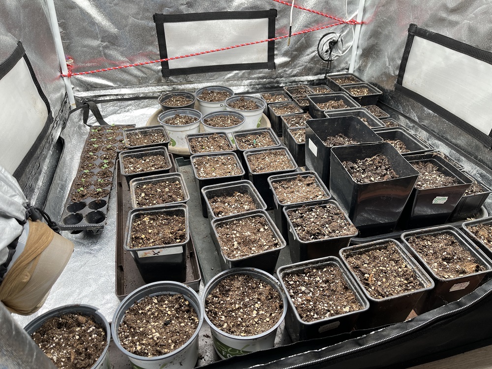 zahajeni-pestovani-sazenice-grow-led-flexi-17