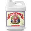 5669 carboload liquid 250ml